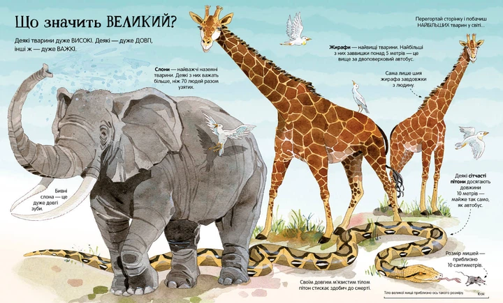 Велика книга тварин 432650219 фото